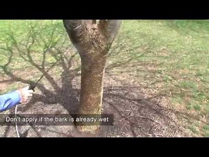 How to Apply Systemic Pesticides as a Bark Spray