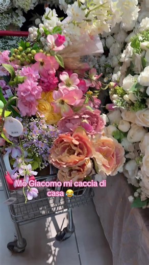 #amichepink🎀 @Max Cina