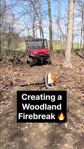 Creating a Woodland Firebreak for a Prescribed Burn 🔥