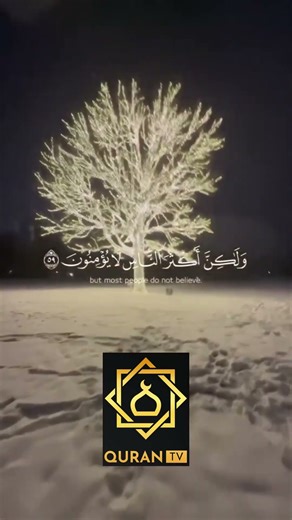 quran ayat part 156 #viral #duet #surahefatiha #love #fatiha #islamictext #reminder #quranayat #sabr