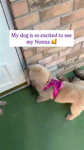 Epic Adventure Unveiled: Non-Stop Thrills and Excitement! #AdventureTime #EpicJourney