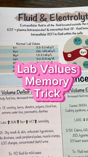 427 reactions · 190 shares | Quick tip for understanding lab values! #labs#nurse#medsurg#nursing#rn#futurenurse#nursingnotes#nursingbook#nursingschool#nursingtips#professormollie#nursingmemorytricks#nursetok#bsn#absn#lpnstudent#nclex#nursingexams | Professormollie | Facebook