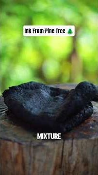 Ancient Ink Made Using Pine Resin 🌲📜 #fact