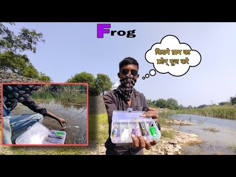 🐸 Frog Lure 12g 14g या 18g ? कोन-सा फ्रोग् Best है और कैसे चलाऐ