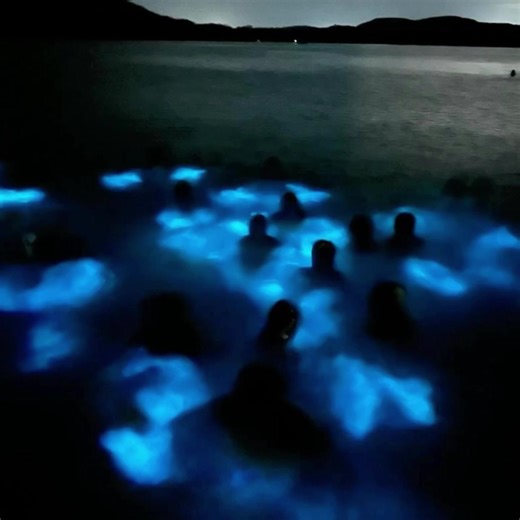 Exploring Themes in The Hunger Games Series