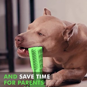 1.7K reactions · 422 shares | Fur-got to clean your dogs' teeth? It's time for Bristly! The first DIY toothbrush for dogs. EmPAWering them to clean their teeth every day entirely ON THEIR OWN!  | Bristly Brushing Stick | Facebook
