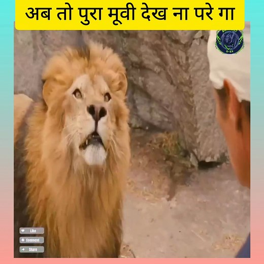 803K views · 6K reactions | #BlockbusterMovie #MovieReels #TrendingScenes #Superhit | Blockbuster Movies Reel | Facebook