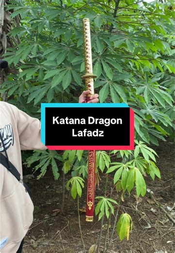 Katana Dragon: Unleash Your Samurai Spirit