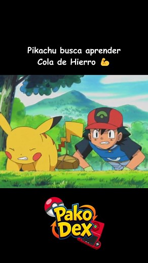 350K views · 11K reactions | Quien diría que un Sentret le eseñaría uno de los movimientos más importantes en toda su aventura a Pikachu  #pokemon #pakodex #ash #may #pikachu #hoennregion | PakoDex | Facebook