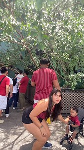 316 reactions · 20 comments | Playing with LORRIES at the ocean park | Princess Dawn | Facebook