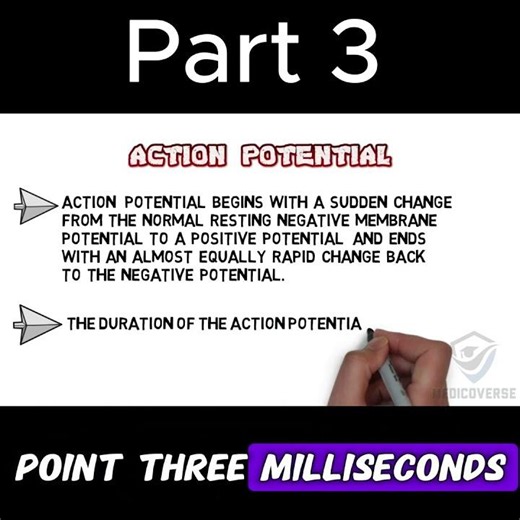 Nerve Cells Are Actually Insane | Part 3 #biology #anatomy #doctor #mbbs