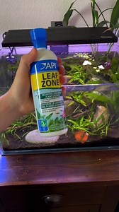 Dose LEAF ZONE™ liquid plant fertilizer to help keep your planted aquariums vibrant. 🎥: @aquatic_ambition | API Fishcare