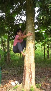 38K views · 938 reactions | Harvest lychee fruit & chicken eggs fruit go to market sell #mybushcr #building #outdoors #buildhouse #shelter #fypシ #farmlife #survival #farm #build #campter #fypシ | The Off Experience | Facebook