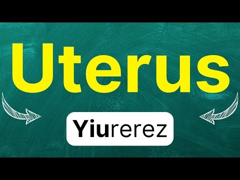 How to pronounce: Uterus "uterus" "womb" "reproductive organ" in American English with examples