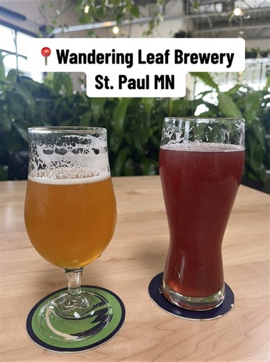 I went to @Wandering Leaf Brewing for my first time this weekend after trying their beer at the Brewsology Beer Fest. As a huge plant girlie I was absolutely in awe of all the different types of LIVE plants they have - yes I said LIVE !!!! The place is decorated so nicely and there are gorgeous wall murals throughout. PLUS their beer selection was awesome! I had a blackberry twist sour and went out of my comfort zone to try a beer with cayenne pepper!! It packed some serious heat! Highly recomme