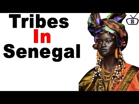 Major ethnic groups in Senegal and their peculiarities