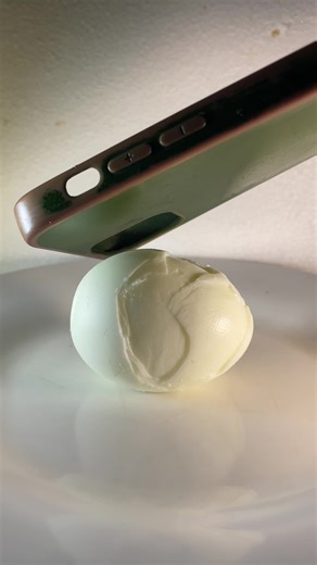 Unique Protective Egg Experiment Explained