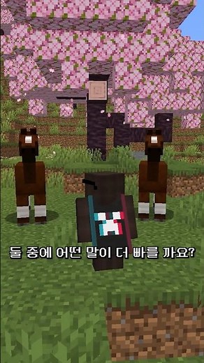 마인크래프트 말 속도 구분하는 방법