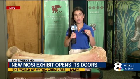 MOSI opens new mythical creatures exhibit