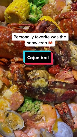 Thebellamyadventures on TikTok