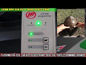 Lifan KPX 250 flash the ECU, pedestrian hit? Saved a turtle, stop at Harbor Freight, ACE and PO