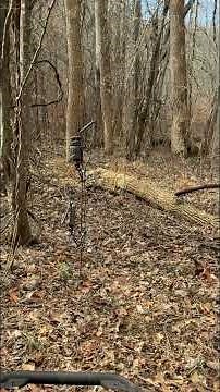 Stealth Cam 360 cam review and homemade stand #trailcam #Stealth Cam #hunting #deer #wildlife