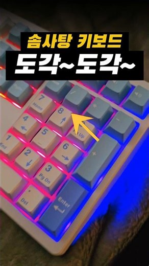 White-Blue Zebra Switch Typing Test: If You Can't Give Up the Number Pad