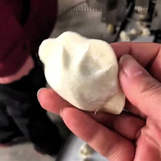 Fully Automatic Dumpling Machine for Commercial Production