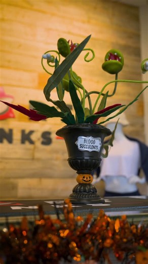 Halloween at SmartBlanks 🎃 Teamwork, treats, and just the right amount of spooky Stay tuned for the Halloween Contest! | Smartex Apparel