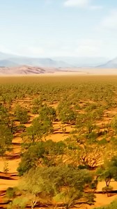 512K views · 7.7K reactions | What If We Planted Three In the Sahara Desert? | What If | Facebook