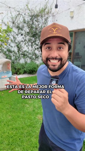 mejor forma para recuperar el pasto seco del jardín