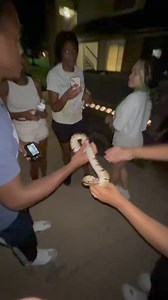 22 reactions | Chasing people with SNAKE prank gone WRONG藍藍藍藍藍**STAGED**FAKE VIDEO*#reptile #pranks #explor #snakes #foryou #fun #fypage #reptileprank #Reposted #snakeprsnk #daddysgirl #rappers #finnyjake #fypシ゚viralシ#blowthisup #repost #sharethecare #funny #prank #viral #edit #explore #sharethecare | Sosa_Gangfts | Facebook