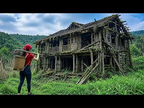 Her Husband Kicked Her Out—A Stranger Gave Her an Abandoned House That Changed Her Life Forever
