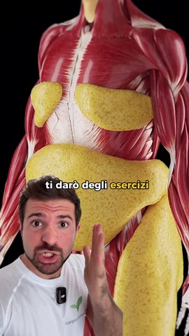 Esercizi Efficaci Per Ridurre Il Grasso Addominale