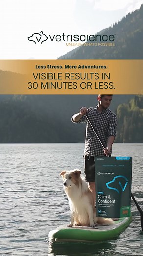 Promote calm behavior and emotional support during your pet's stressful moments with VetriScience. Visible results in 30 minutes or less. Shop now | VetriScience