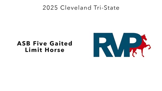 CTS25 - Class 52 - ASB Five Gaited Limit Horse