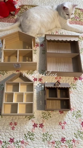 Creative Ways to Decorate Your Trinket Shelf