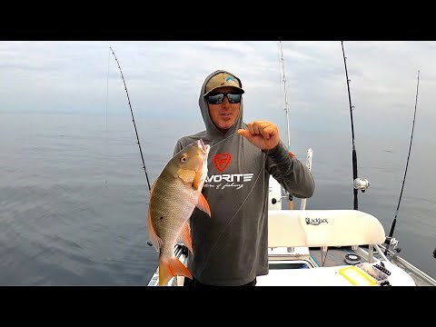 SNAPPER Ceviche! (How to Catch ,Clean & Eat)