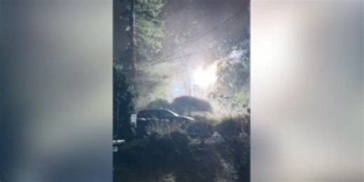 Watch: Sparks fly as deadly bomb cyclone takes down tree in Washington