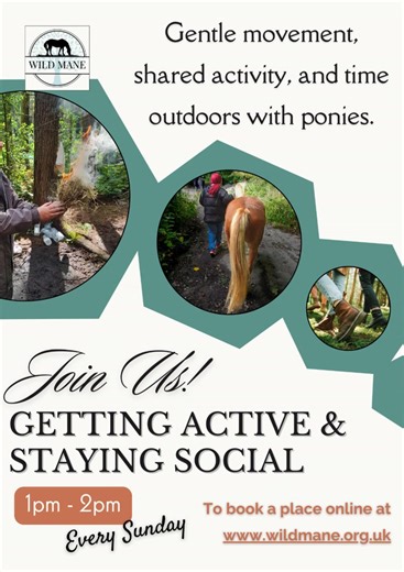 🌳 New weekly sessions now open for booking 🐴 We’re really pleased to share our new Wild Mane clubs & groups, starting 1st March. These are outdoor sessions with ponies and nature. Every Sunday: (Limited places available, advanced online booking needed) 🍂 Wild Child Club 🐴 12pm Outdoor club sessions for children with pony care, handling, & nature skills. 🚶‍♀️ Getting Active & Staying Social 🐴 1pm–2pm A relaxed outdoor session light movement, and time with the ponies. 🧘‍♀️ Relax & Unwind 🐴