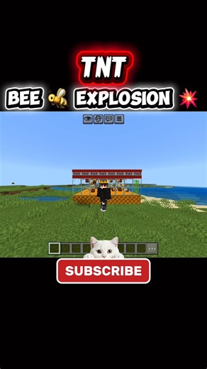 Minecraft Bee 🐝 explosion 💥💣 #minecraft #shorts #shortsviral