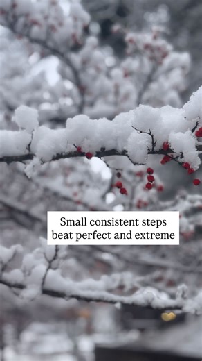 Dietitian, Nutrition Coach, Recipe Developer | The solution to all my problems? Likely not this snowy walk… But does it make a difference? Oh yes, look at this quiet magic!! I’m a snow... | Instagram