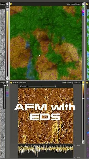 AFM with SEM/EDS/Nanoprobers - Experience FusionScope® at the Microscopy and Microanalysis Show 2025