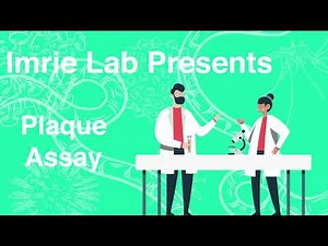 Plaque Assay