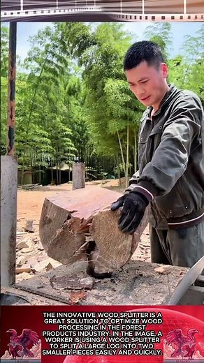 Extremely fast smart wood splitter technology