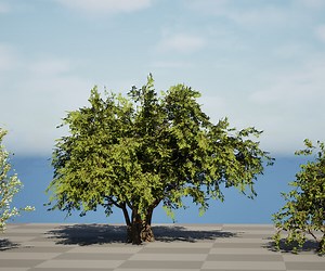 ArtStation - Flowering Plymouth Pear Tree 3D Model | Game Assets