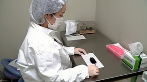 Stab-Wound Mouse Model for Studying Hemorrhage and Inflammation in Traumatic Brain Injury