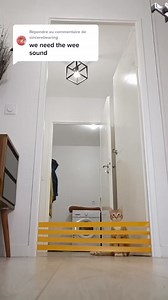 Weeee 🤣 #chat #cat #challenge #catchallenge #animal #cats #chats #viral | Sydney Chaton