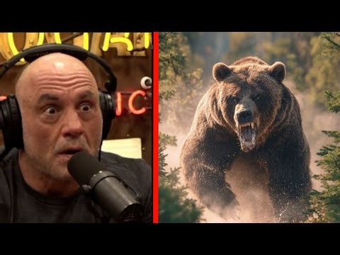 Grizzly Bear Didn't Scare Me Until I Saw This | Joe Rogan