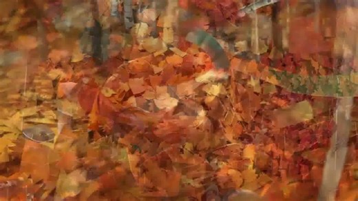 Sherwin-Williams TV Spot, 'Color Portal: Discover Color'